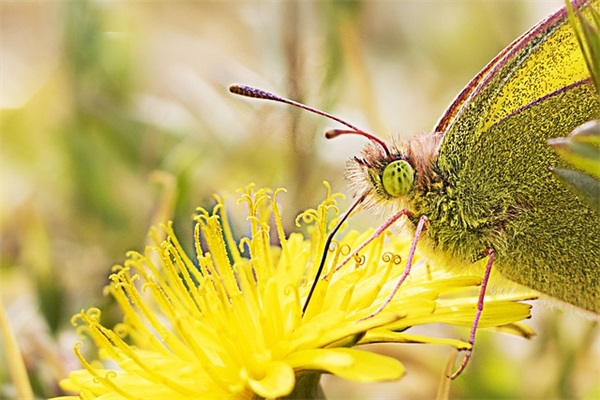 2025学校推广普通话宣传标语大全