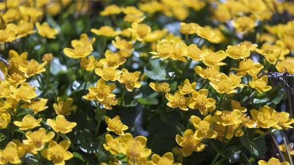 闺蜜的寄语 【闺蜜寄语唯美短句】