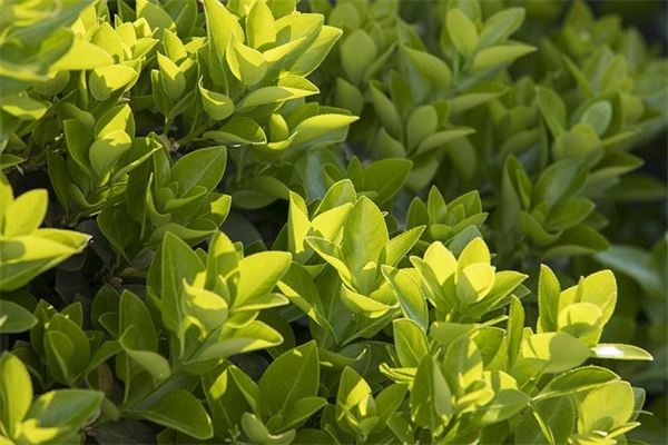 儿童节家长寄语怎么写-60句