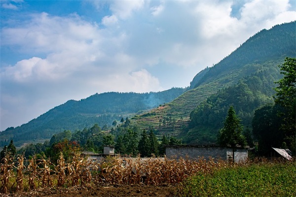 小学生一年级家长寄语大全-53句