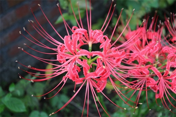 写给自己的14岁青春寄语-79句