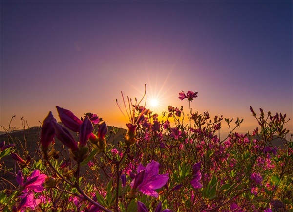 六一儿童节妈妈的寄语-69句