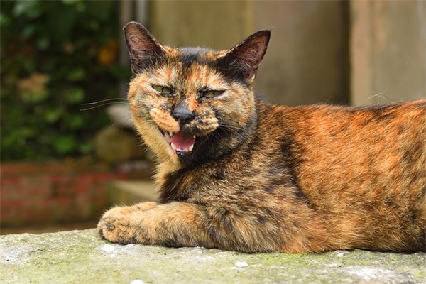 对美好青春的寄语 【对美好青春的寄语怎么写】