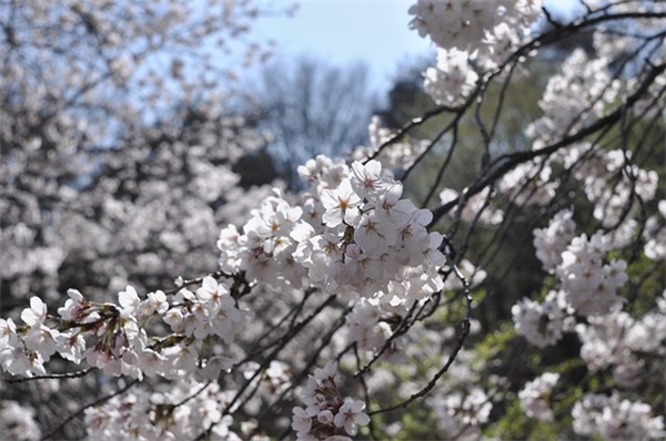 十周岁简短寄语-72句