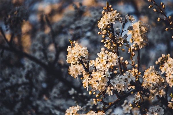 内训师寄语 【内训师激励】