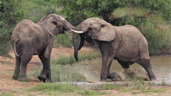 给学生的四字励志寄语 【写给学生的四字祝福语】