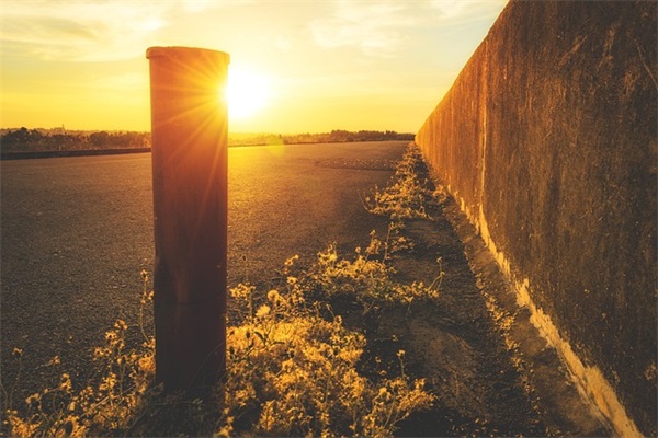 单位生日寄语-67句