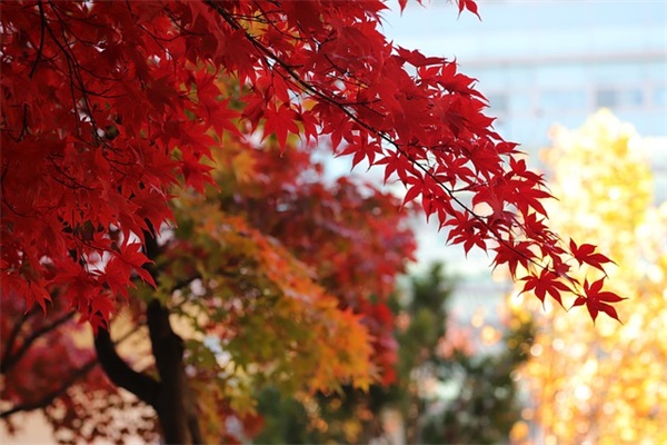 初中毕业给孩子的寄语 【初中毕业给孩子的寄语大全】