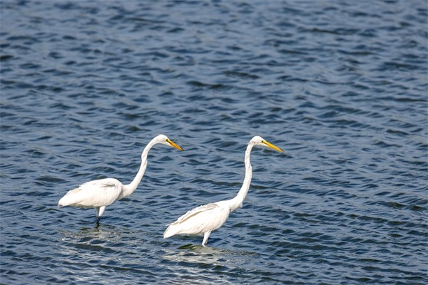 对党员寄语 【对党员寄语期望】