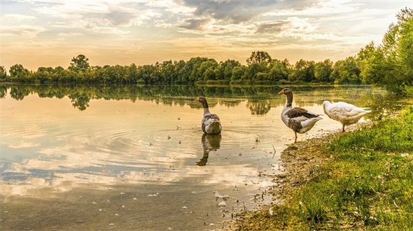 高三生物老师寄语 【高中生物老师寄语】