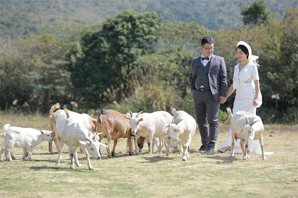 高考青春寄语唯美短句 【高考青春文案】