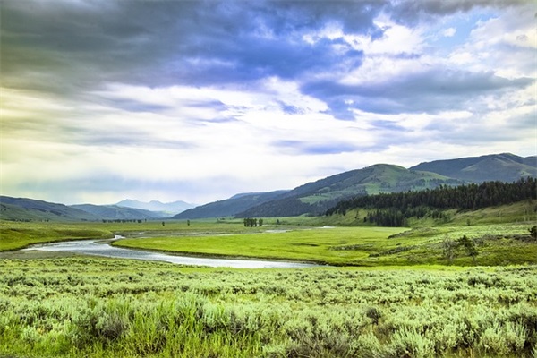 小学新学期寄语-56句