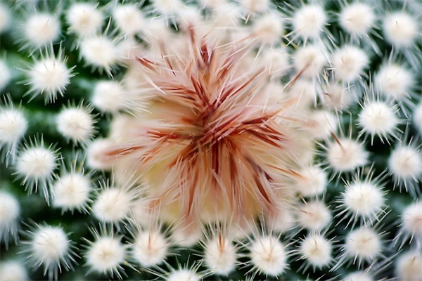 小学一年级家长寄语短句经典-60句