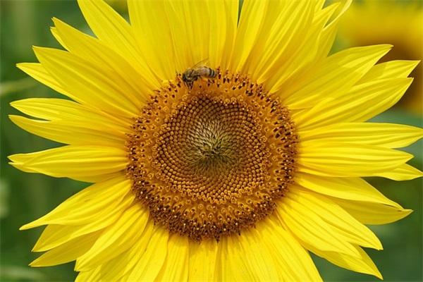 学弟学妹们的寄语 【学弟学妹们的寄语ppt】