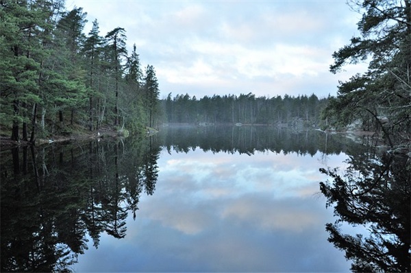 家长对女儿寄语的短句 【父母对女儿的寄语短句】