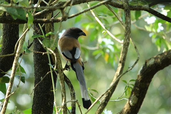 初中数学教师寄语集锦-76句
