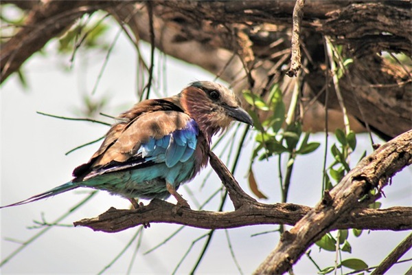 寄语大全之廉政寄语100条 【2025廉洁寄语】
