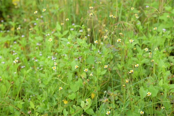 家庭安全寄语精选 【家庭安全语录简短】