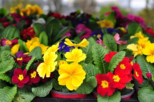 老师对高三学生的寄语 【老师对高三学生的寄语说说】