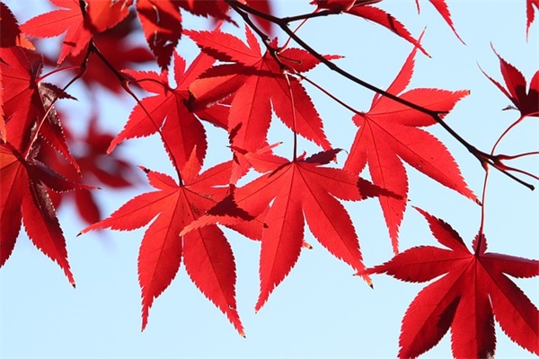 期中考试后教师寄语-63句