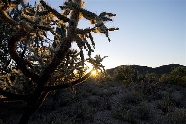 10岁成长礼教师寄语 【10岁成长礼教师寄语简短】
