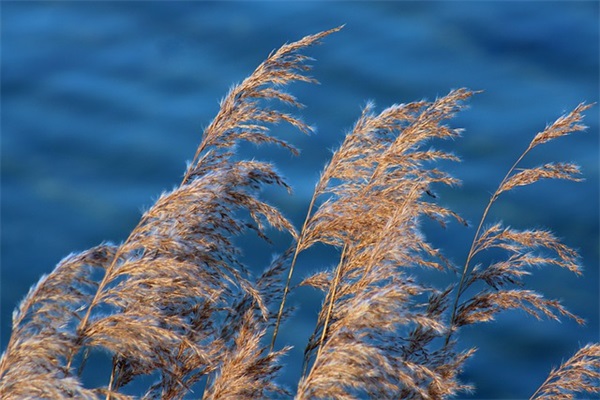 小班孩子对大班的寄语-57句