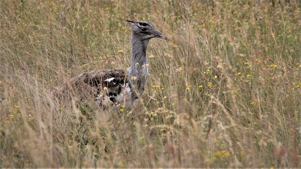 写给同学的寄语简短-71句
