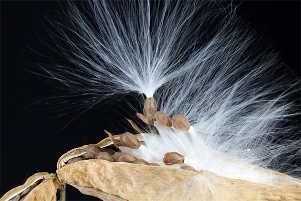 开学寄语朋友圈-76句