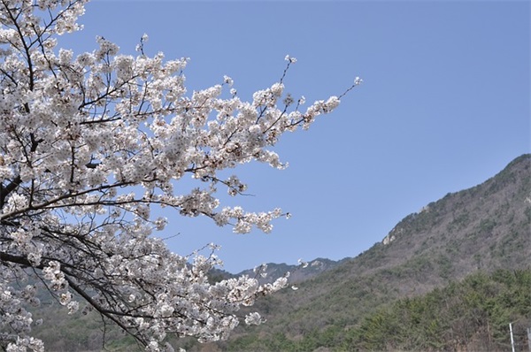 幼儿园老师对同事的寄语-54句