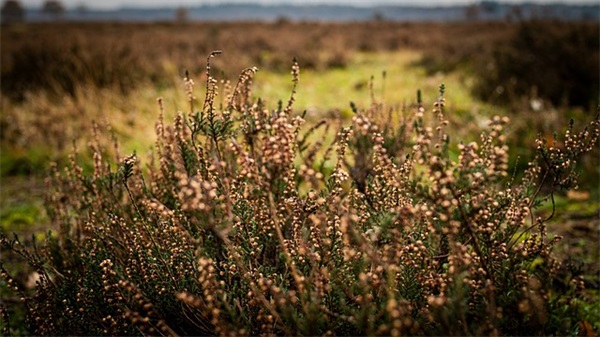 老师给学生毕业寄语-76句