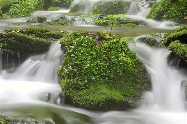 家长对孩子书法的寄语-72句