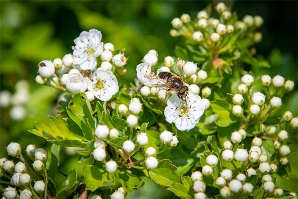 十周岁生日寄语-69句