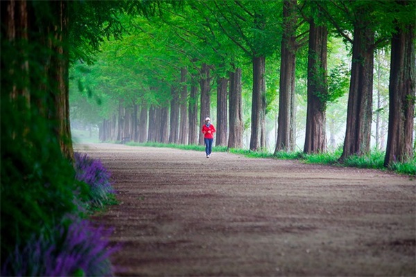 对入队孩子的希望和寄语-72句