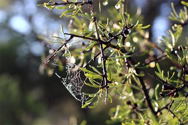 给小朋友的励志寄语 【给小朋友们励志的话】