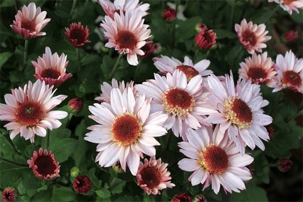 孩子成长寄语唯美句子-86句