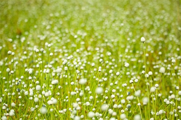 希望孩子自信勇敢的寄语 【希望孩子充满自信的句子】