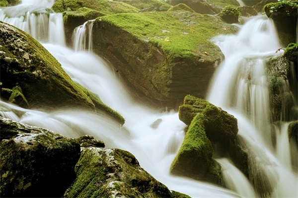 学生寄语八个字 【学生寄语八个字简短】