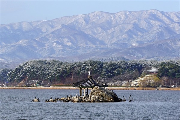 晨读寄语简短 【晨读寄语简短励志】