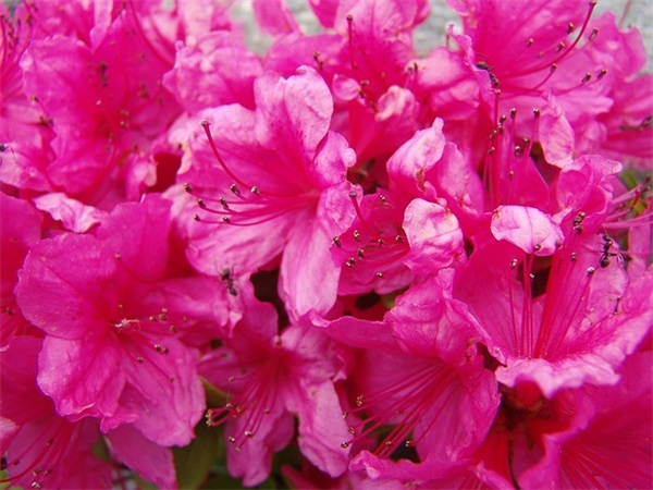 家长寄语10条简短-69句