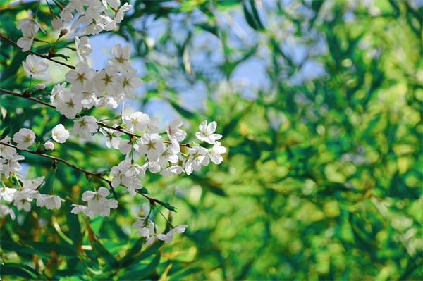 qq冷酷女生网名大全