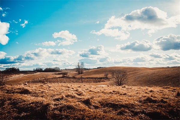 女生QQ网名七个字