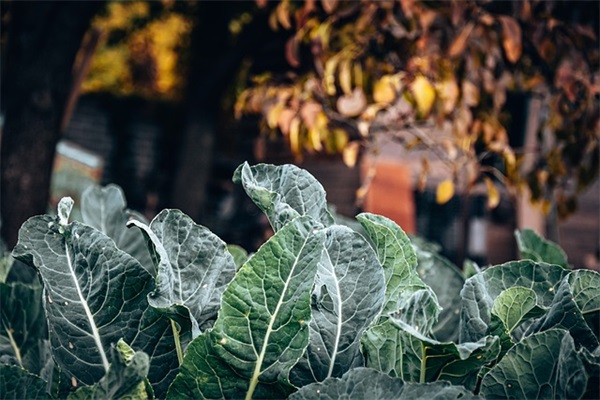 女生网名唯美个性