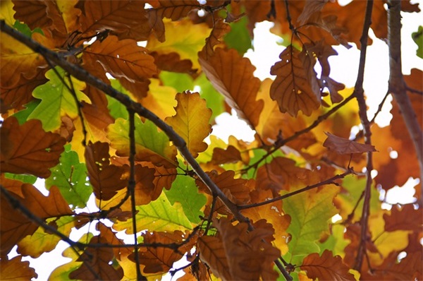 qq网名女生韩文的