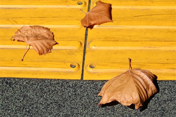 qq网名三人姐妹