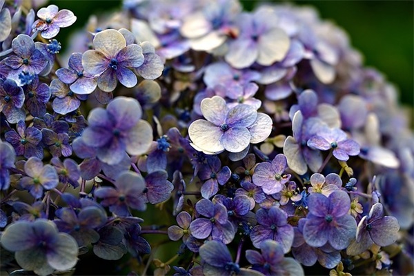 表现孤独的qq网名