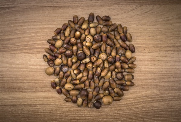 个性网 网名 女法文