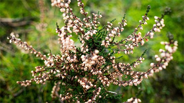 QQ网名 带有徐字