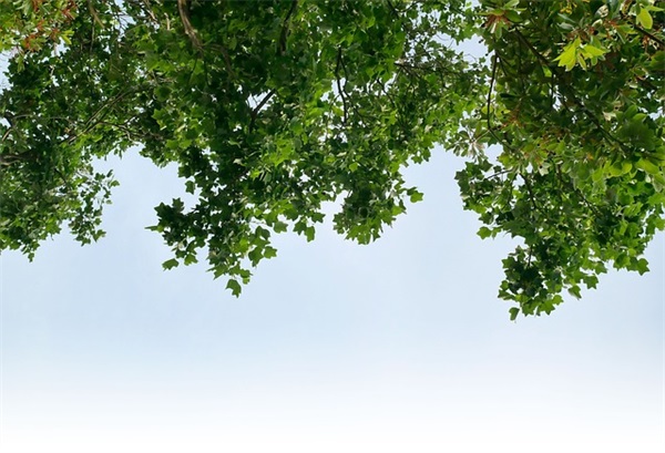 黑社会qq网名大全集