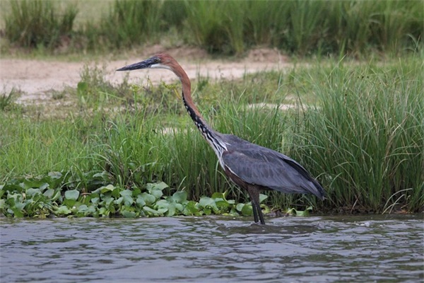 qq怎么复制别人的网名