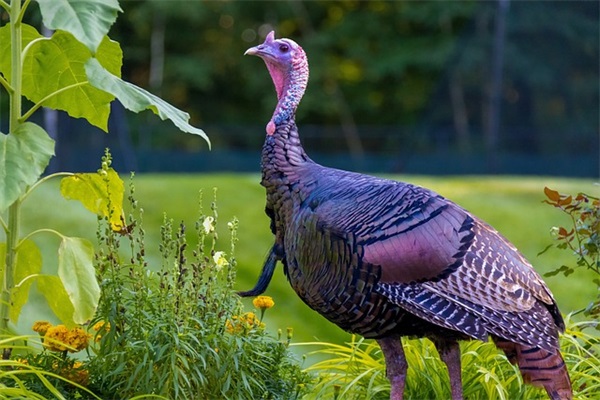 个性繁字体网名